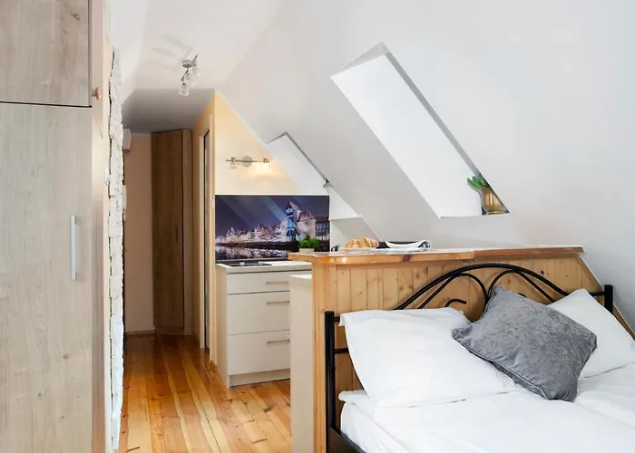 Apartament Elite Rooftop With A View Of The Old Town Gdańsk